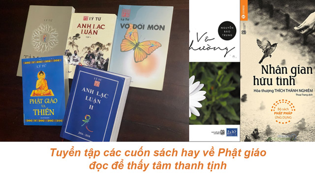 Top 3 cuốn sách hay về Phật giáo đọc để thấy tâm thanh tịnh